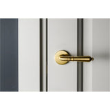 Aurelia Italian lever door handle on round rose