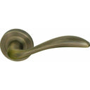 Curved lever handle on rose