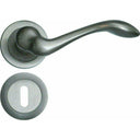 Italian lever handle on rose