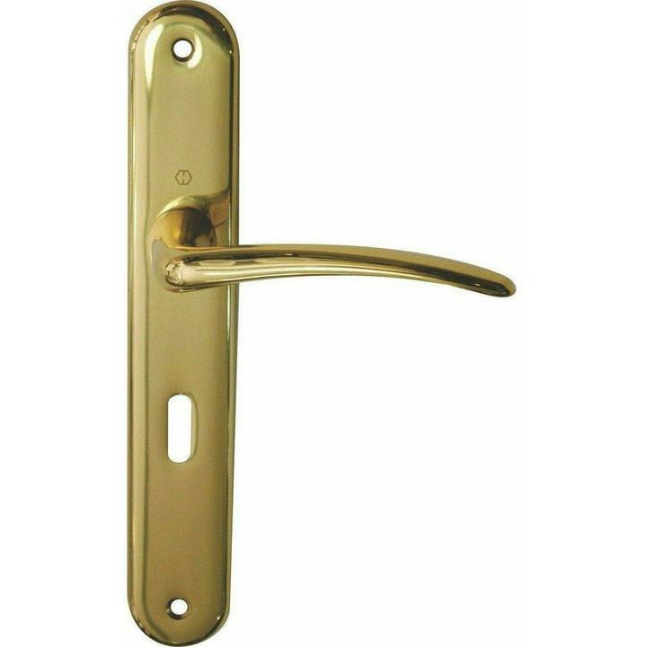 "Istanbul" - classic door handles on back plate - Decor Handles