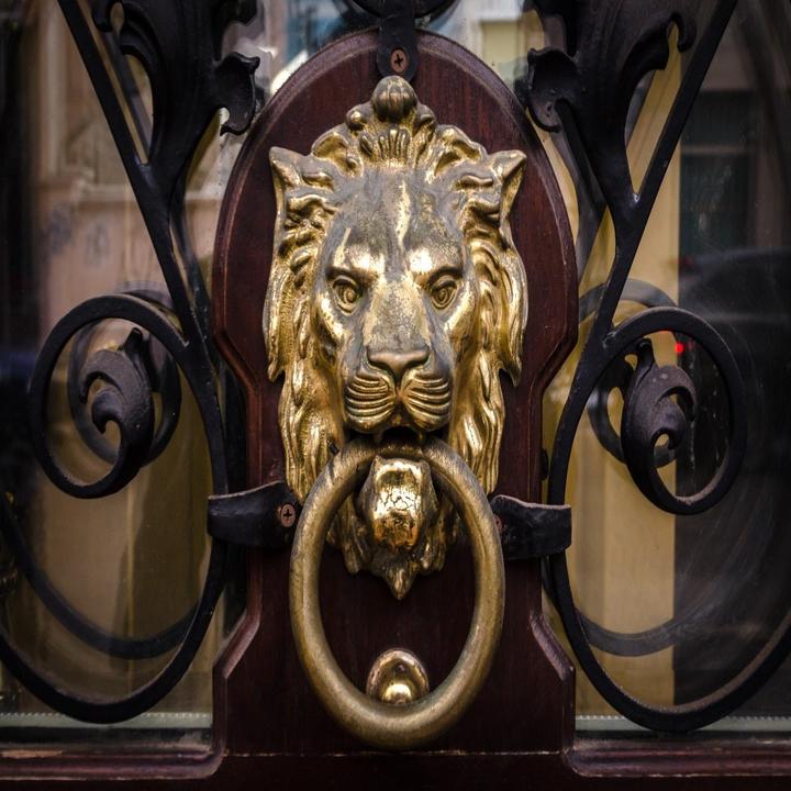 Lion head door knocker - Decor Handles - door knockers