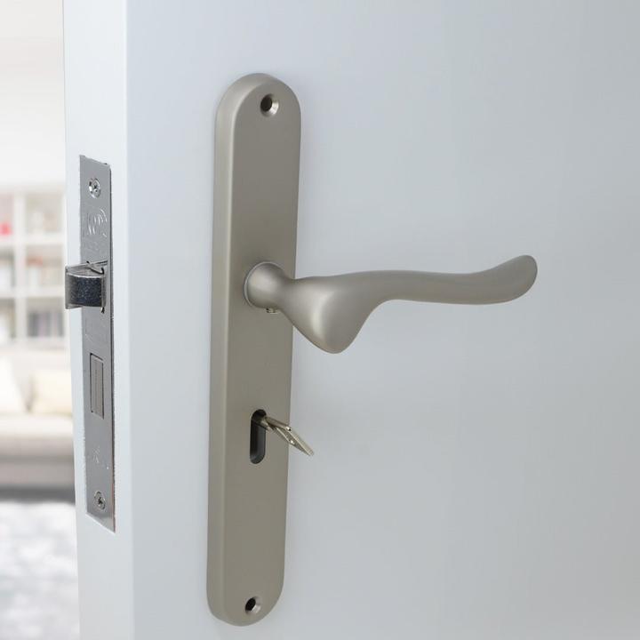 Matt Chrome Classic Door Handles on Back Plate with 2 Lever Lock - Decor Handles - door handles on plate