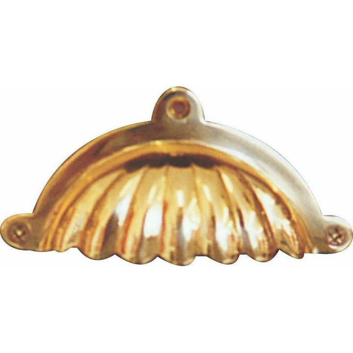 Solid brass shell shaped cup handle - Decor Handles