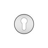 Solid Stainless Steel Lever Handle on Rose - Decor Handles