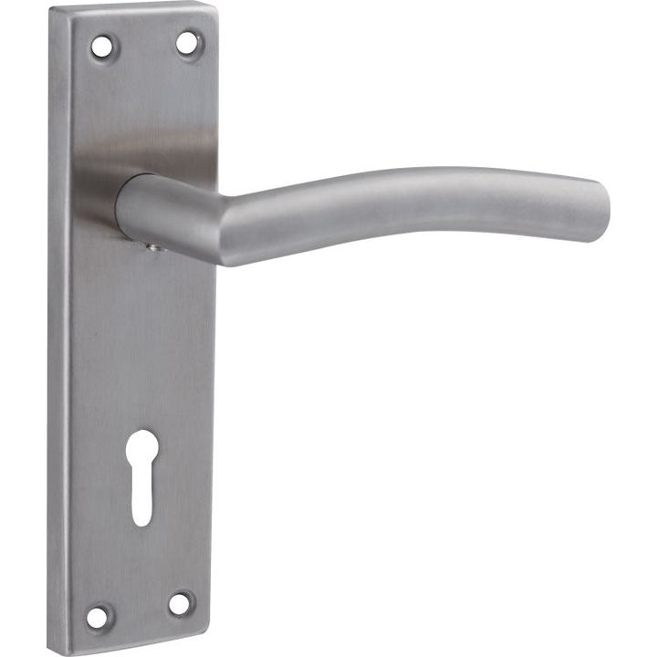 Stainless Steel Curved Handle on Plate - Decor Handles - door handles on plate