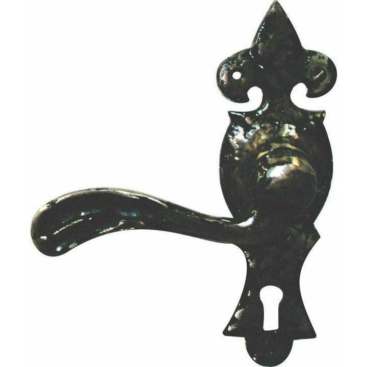 Wrought iron lever handle on back plate - Decor Handles
